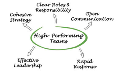 Closing the strategy/execution gap:  creating high performing teams